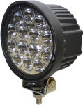 pro1003005.jpg